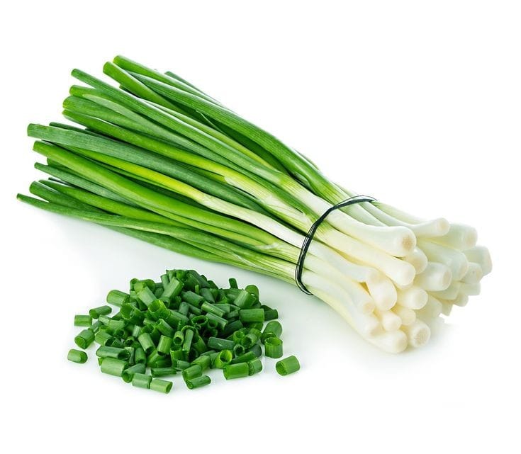 Green Onion Oleoresin